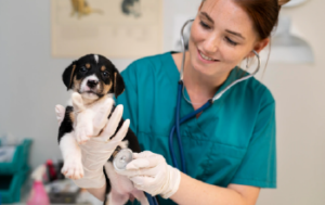 veterinaria_1