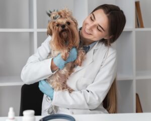 veterinarian-check-ing-puppy-s-health